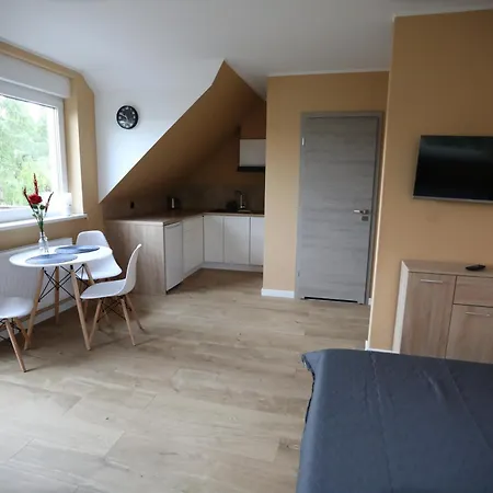 U Romana Appartement