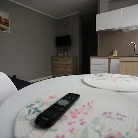 U Romana Appartement *